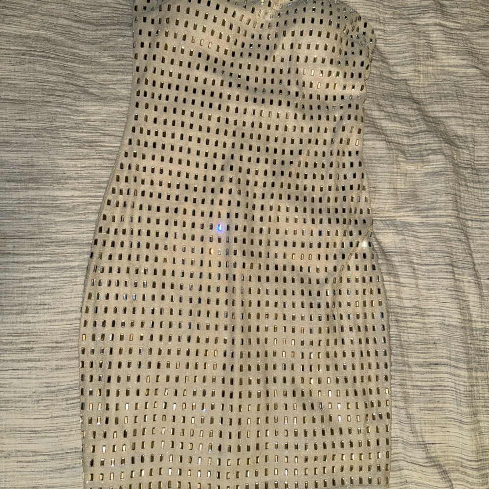 Windsor Strapless Beige Studded Dress